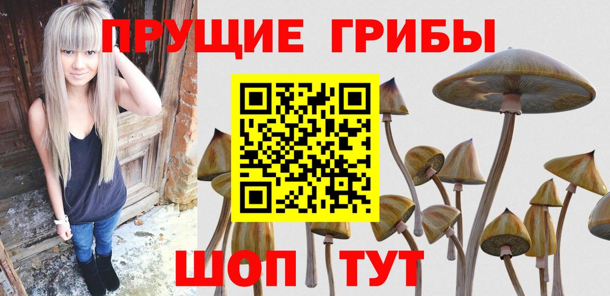 Галлюциногенные грибы Magic Shrooms Стрежевой