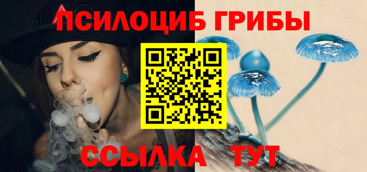 Стрежевой  Псилоцибиновые грибы Psilocybine cubensis  Вход с VPN  Псилоцибиновые грибы мухоморы 